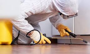 Best Termite Inspection and Treatment  in Lorain, OH